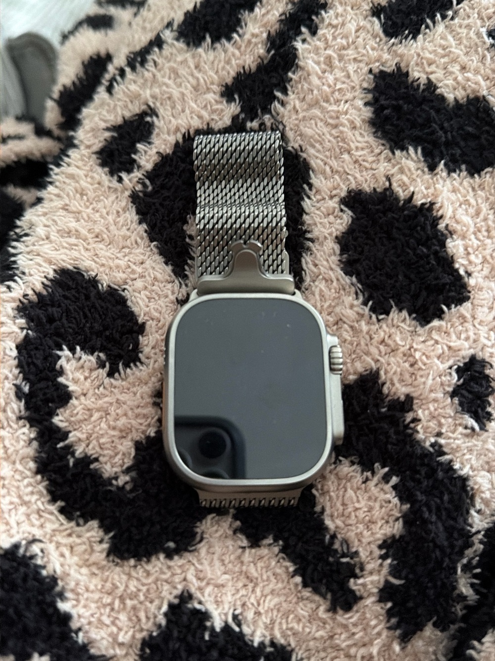 Apple Silver Stainless Steel Mesh Smartwatch with Matching Band